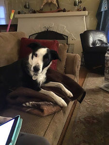 Meet your Posher, Avery